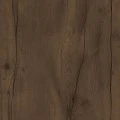Таксония темная