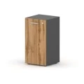 Дуб натюрель/Черный графит Дуб натюрель/Черный графит