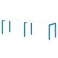 Голубика