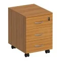 Вяз светлый