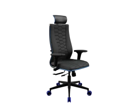SynchroSit 10 B2-244D - UMF(SY271) (M18.B11.G19.W33) (Черн(син.стр)) images