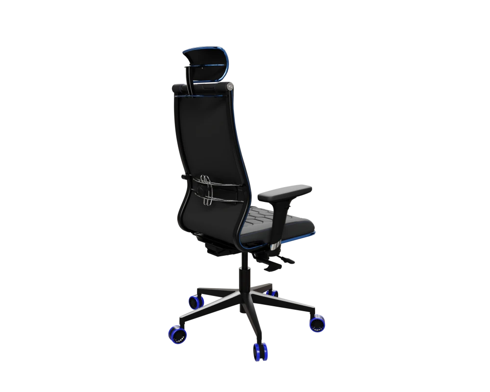 SynchroSit 10 B2-244D - UMF(SY271) (M18.B11.G19.W33) (Черн(син.стр))