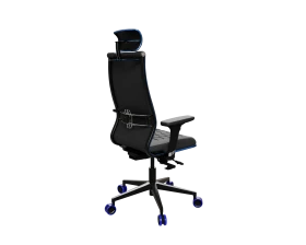 SynchroSit 10 B2-244D - UMF(SY271) (M18.B11.G19.W33) (Черн(син.стр)) images